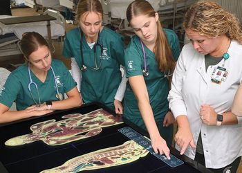 College of Nursing