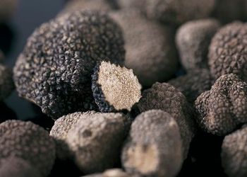 Truffles