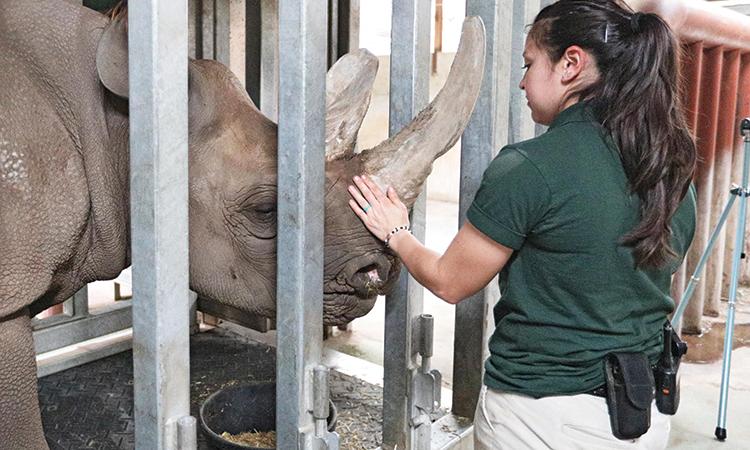 Doppsee interacts with MSU Veterinary student