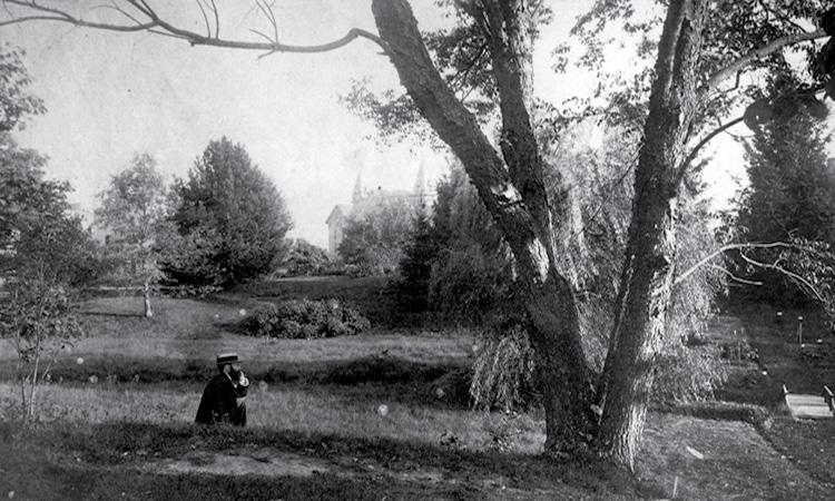 Earliest photo of Beal Garden