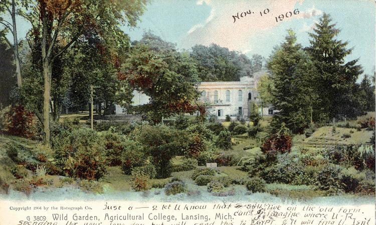 Beal Garden, 1906. 