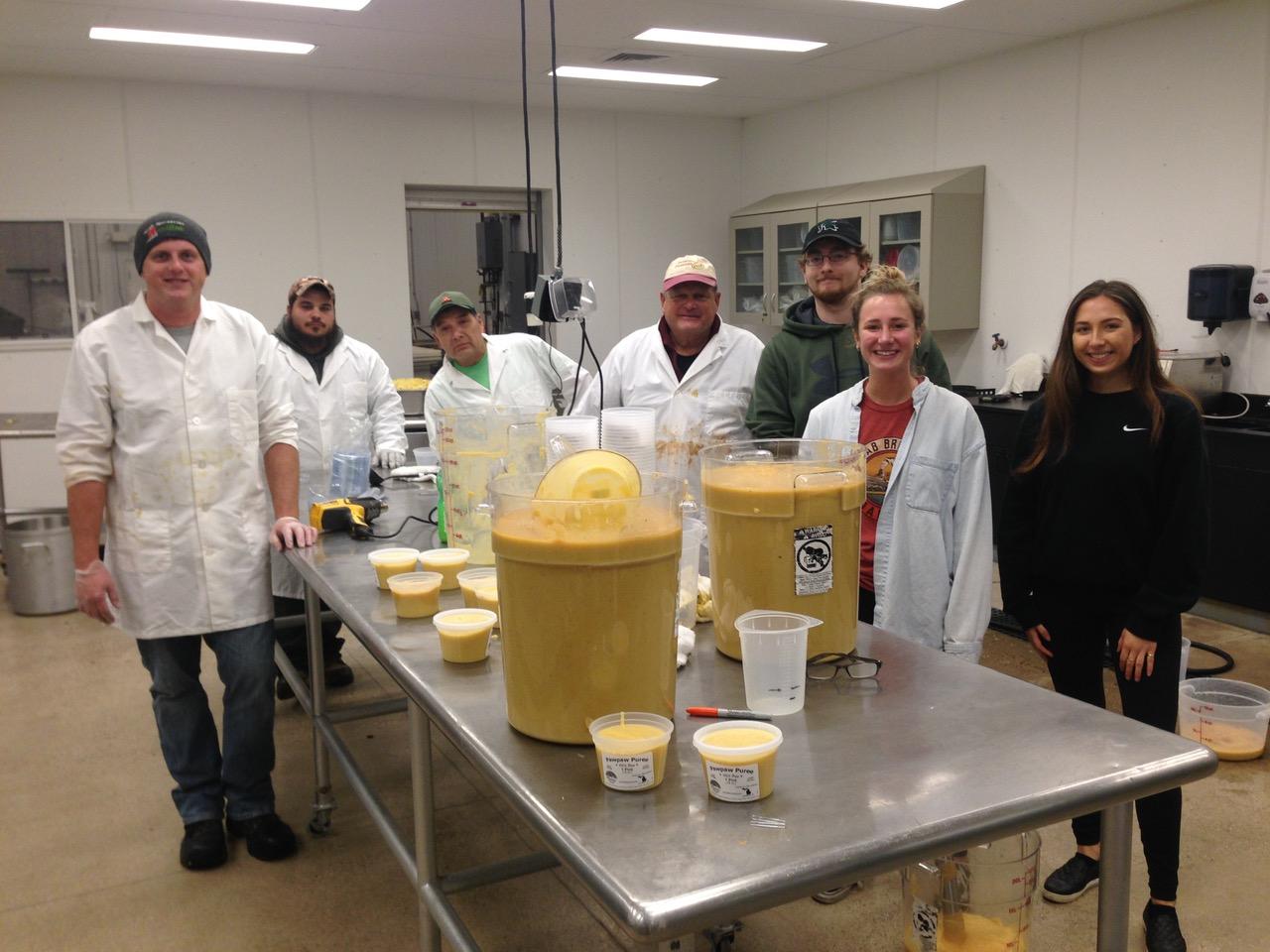 The team surveys their work; pureed Pawpaw fruit.