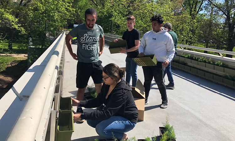 Group of Spartans planting at the Green Wall